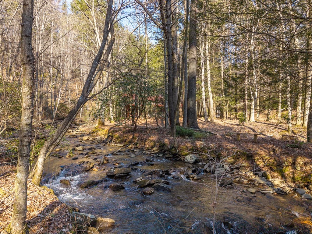 5411 Turniptown Road, Ellijay GA 30536 - Photo