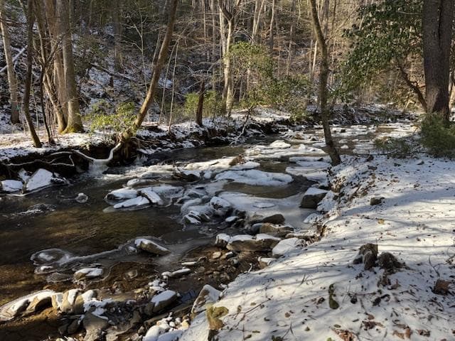 5411 Turniptown Road, Ellijay GA 30536 - Photo