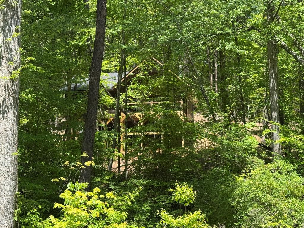 Lot 639 Moreland Drive, Blue Ridge GA 30513 - Photo