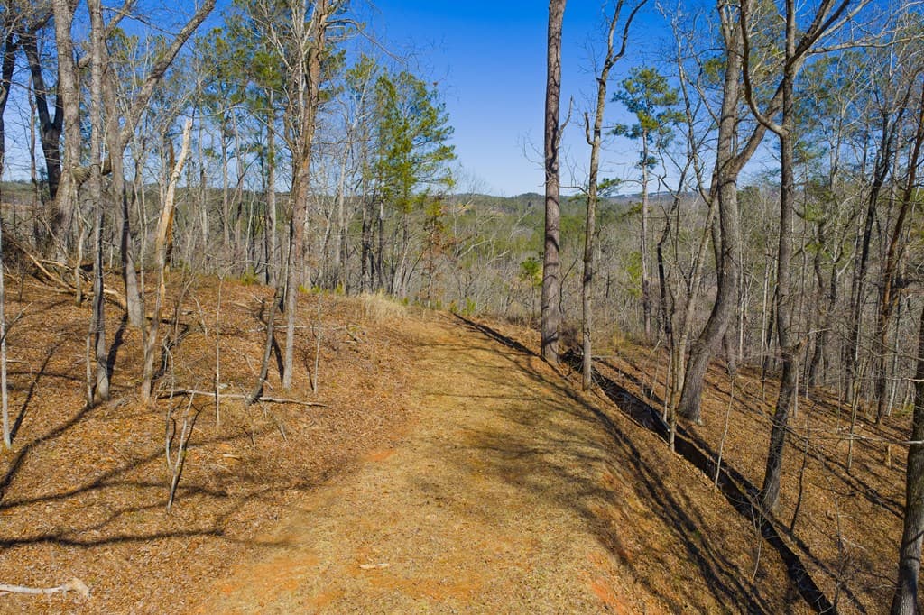 Lot 285 Anglers Ridge Road, Talking Rock GA 30175 - Photo