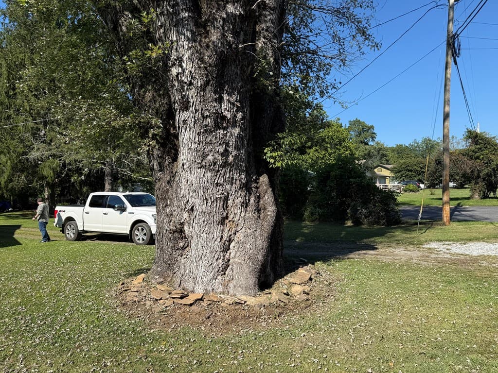 110 Fisher Street, Andrews NC 28901 - Photo