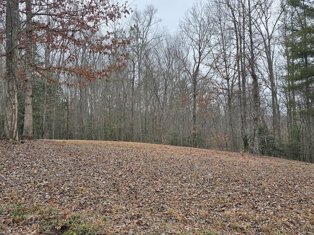 Lot 32 Ridges At Mill Creek, Murphy NC 28906 - Photo