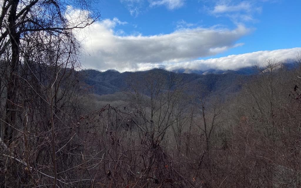 Lot Off Buck Naked, Bryson City NC 28713 - Photo