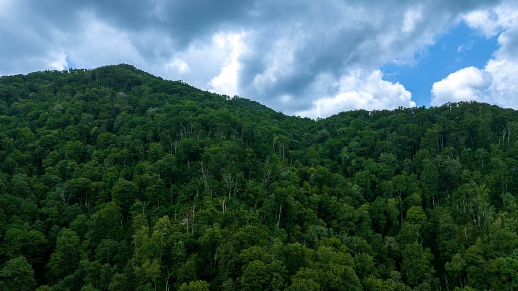 Lot Off Buck Naked, Bryson City NC 28713 - Photo