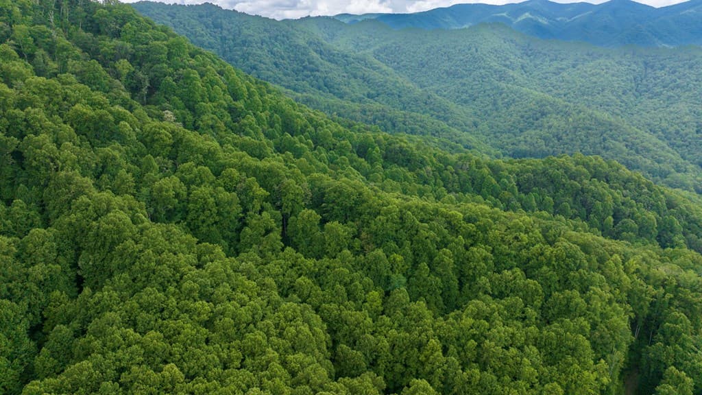 Lot Off Buck Naked, Bryson City NC 28713 - Photo