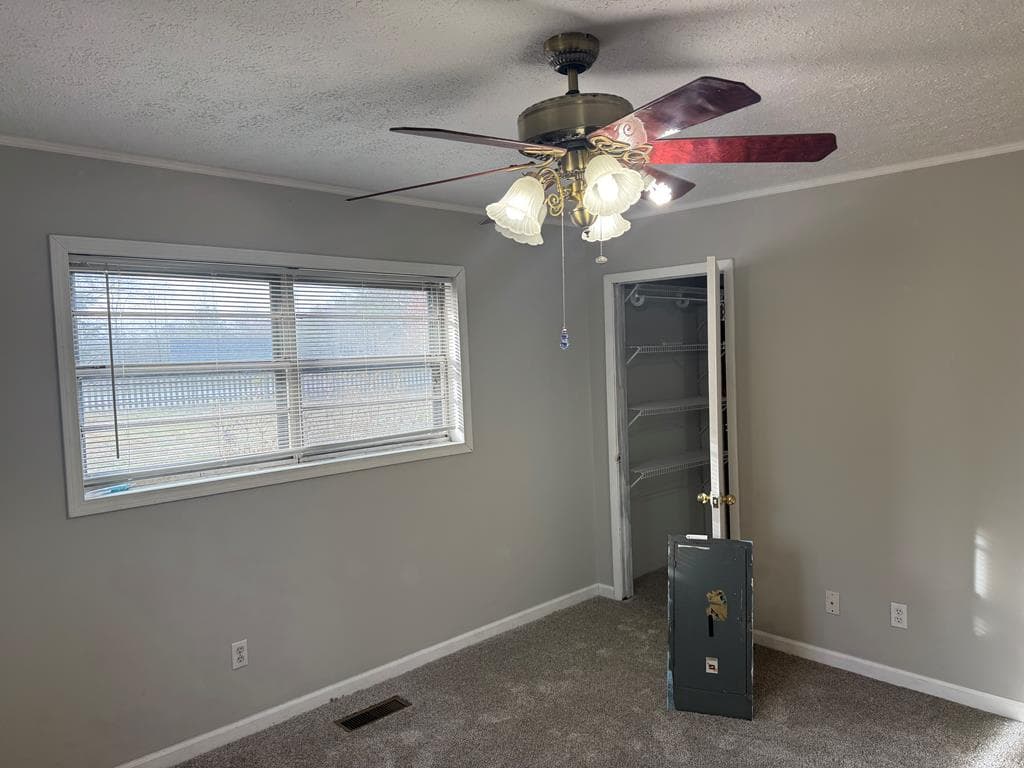 2906 Douthit Road, Mineral Bluff GA 30559 - Photo