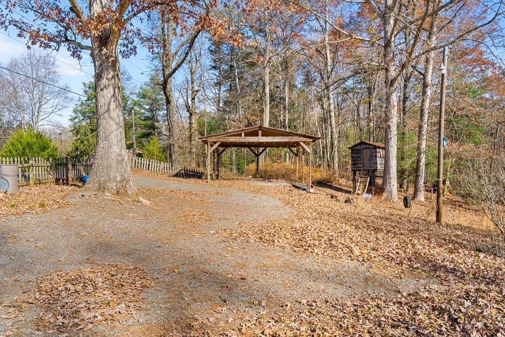 2906 Douthit Road, Mineral Bluff GA 30559 - Photo