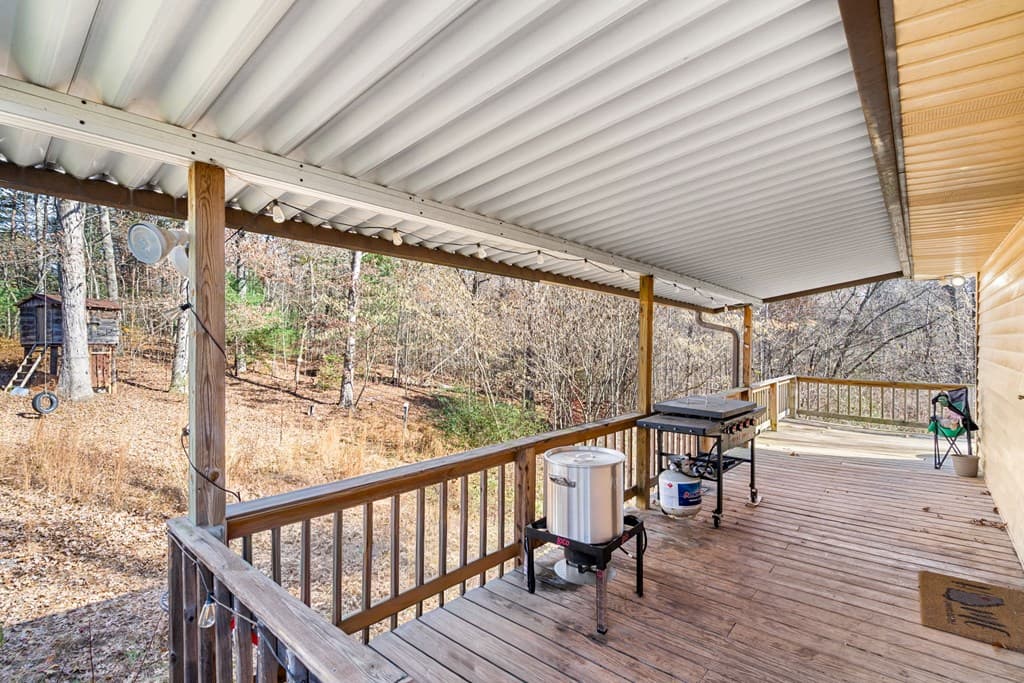 2906 Douthit Road, Mineral Bluff GA 30559 - Photo