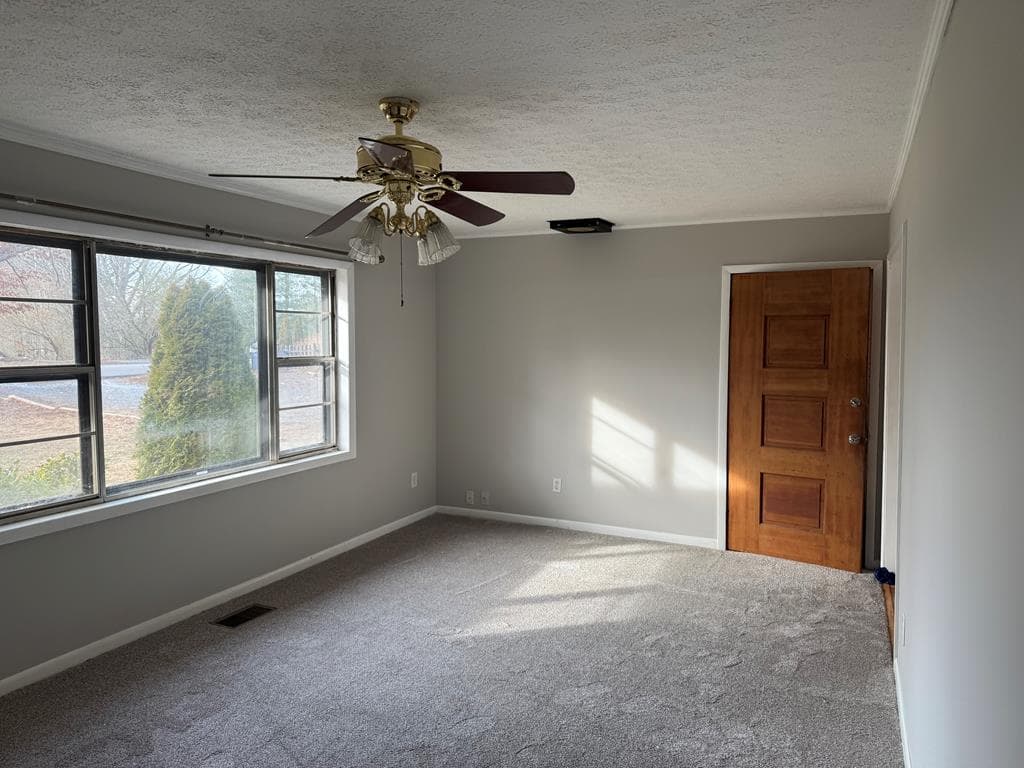 2906 Douthit Road, Mineral Bluff GA 30559 - Photo