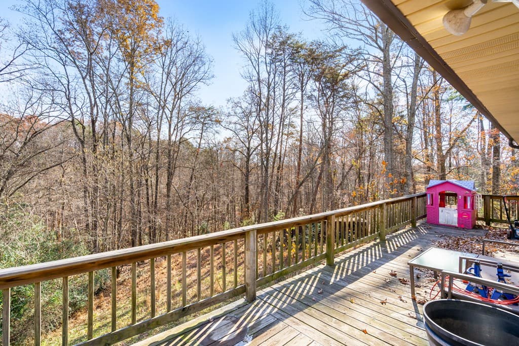 2906 Douthit Road, Mineral Bluff GA 30559 - Photo