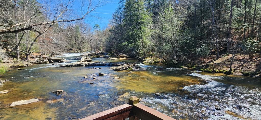 63 Misty Oaks Court, Ellijay GA 30536 - Photo