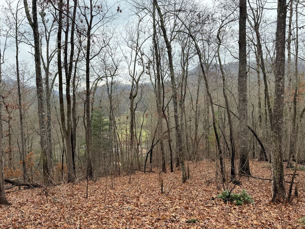 0 Flaming Ridge, Hayesville NC 28905 - Photo