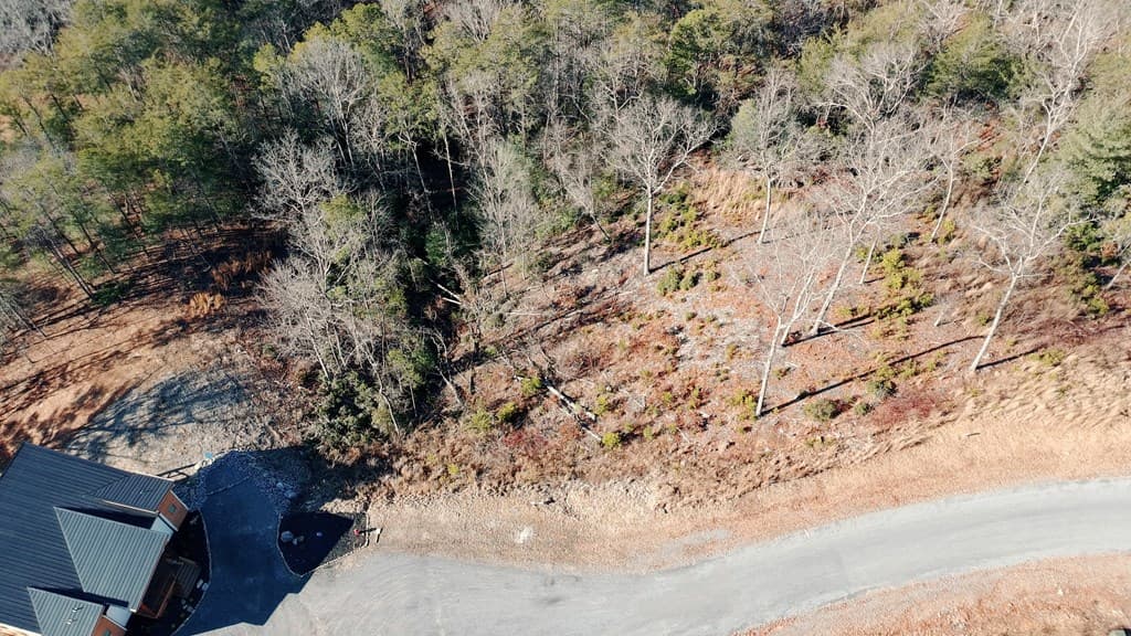 Lot 53 Mountain Laurel Ridge, Mineral Bluff GA 30559 - Photo