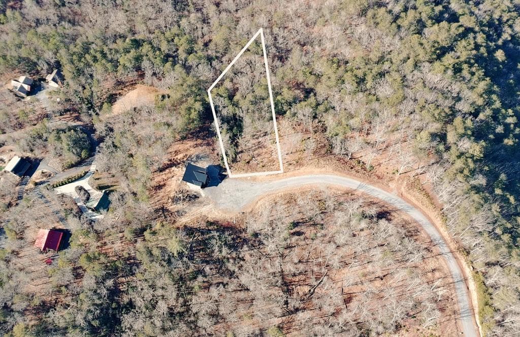Lot 53 Mountain Laurel Ridge, Mineral Bluff GA 30559 - Primary photo