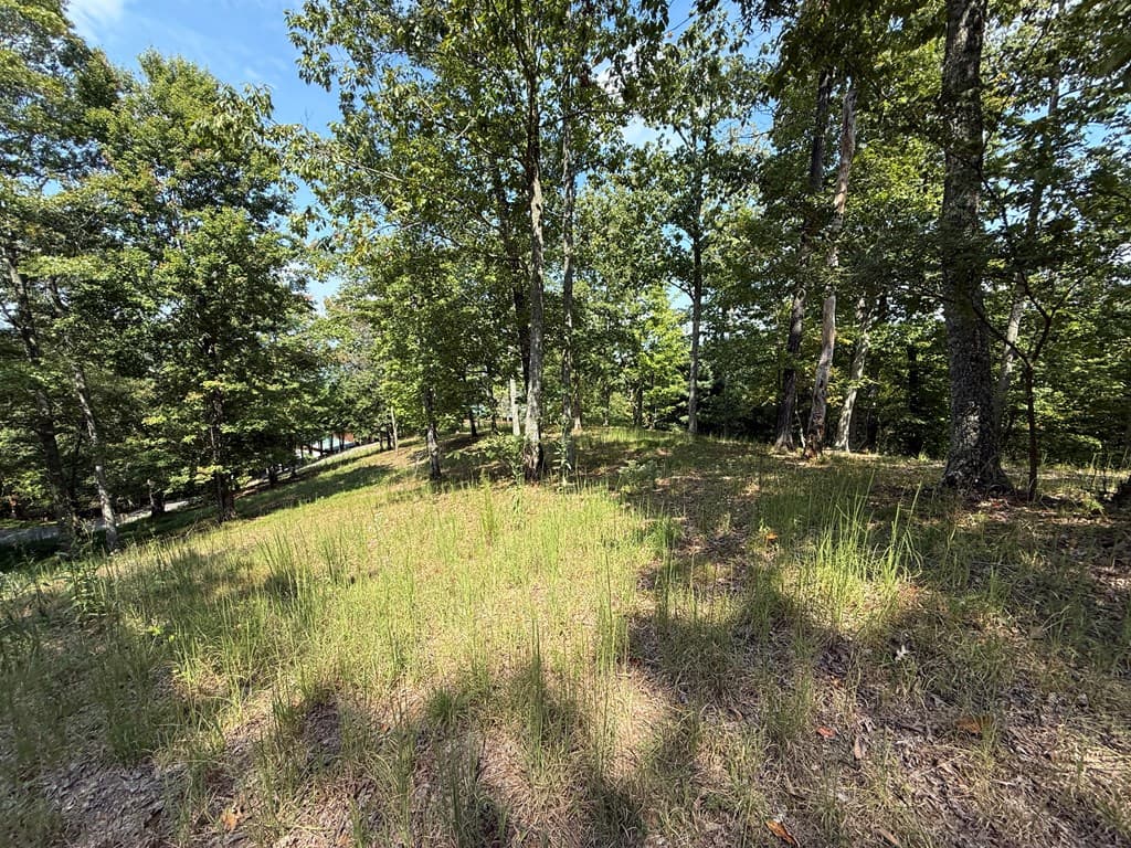 0 Madison Lane, Murphy NC 28906 - Photo