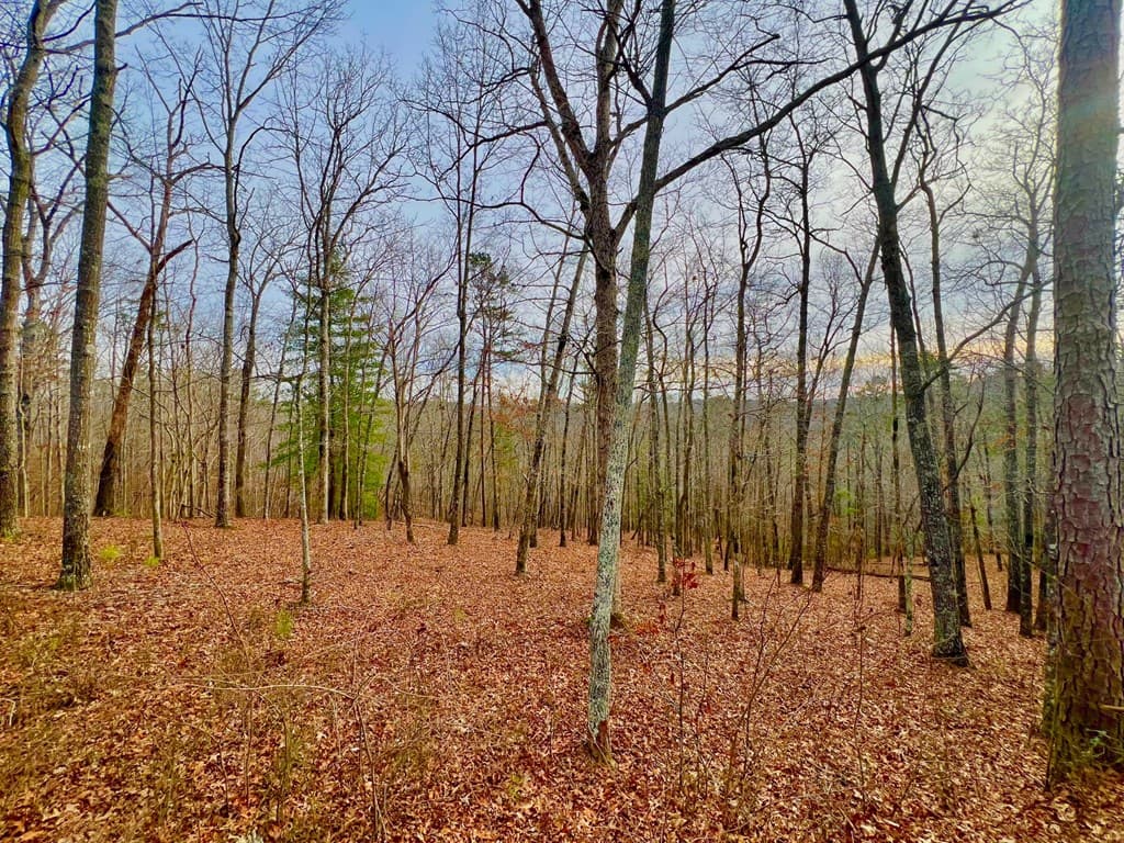 208 Harris Ridge Drive, Ellijay GA 30540 - Photo