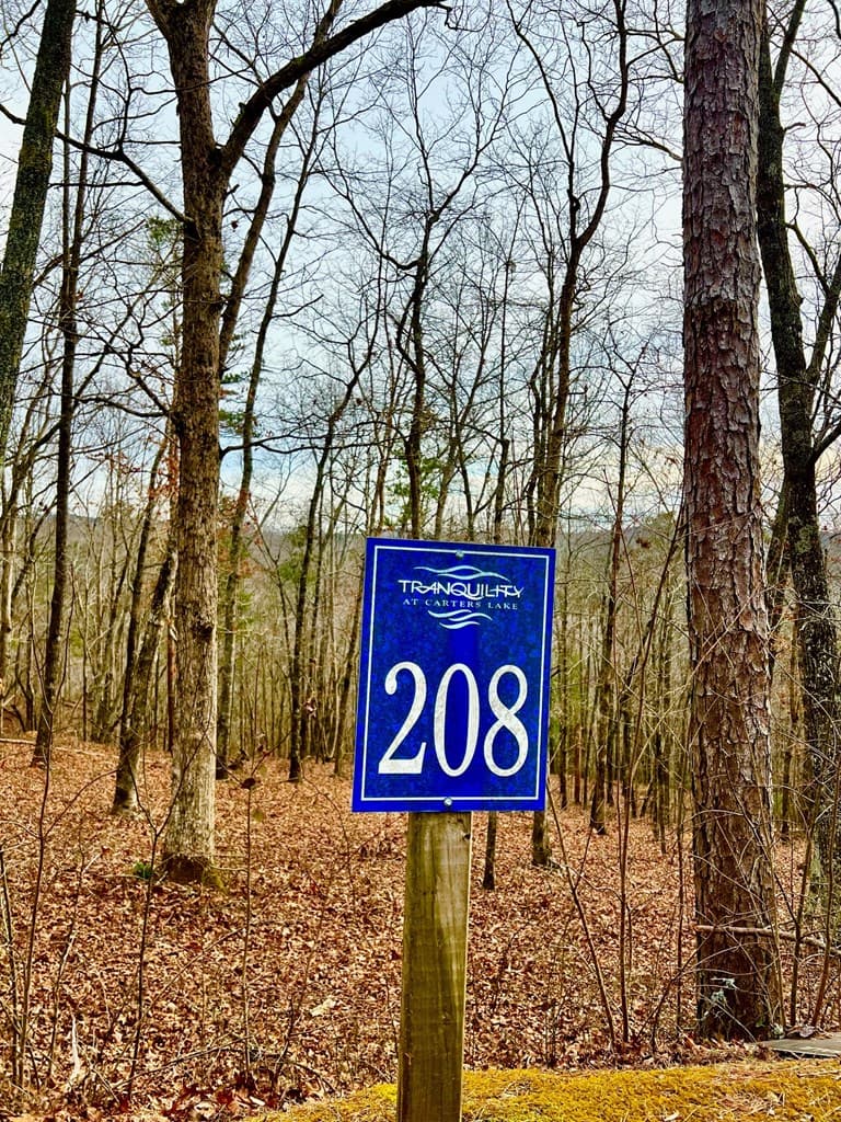 208 Harris Ridge Drive, Ellijay GA 30540 - Photo