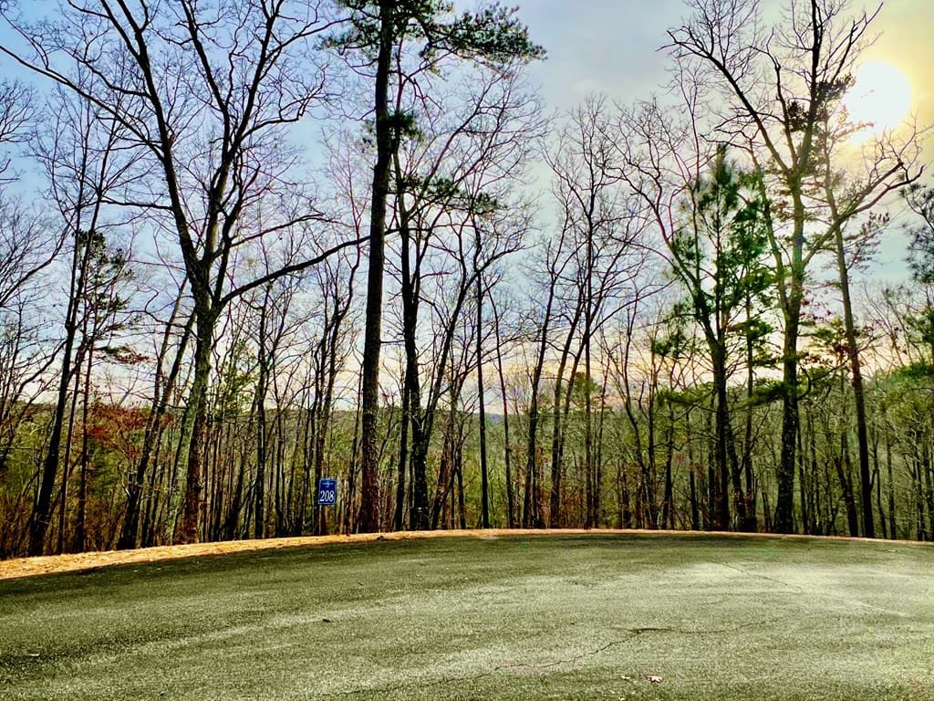 208 Harris Ridge Drive, Ellijay GA 30540 - Photo