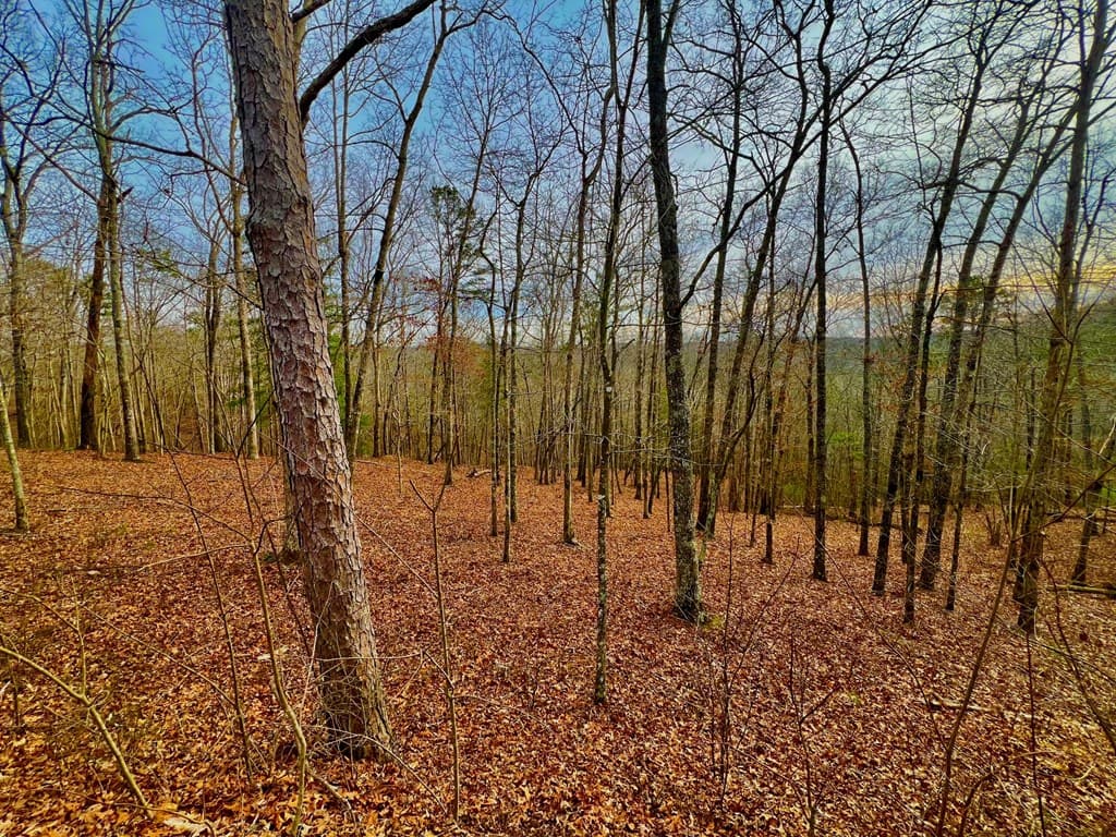 208 Harris Ridge Drive, Ellijay GA 30540 - Photo