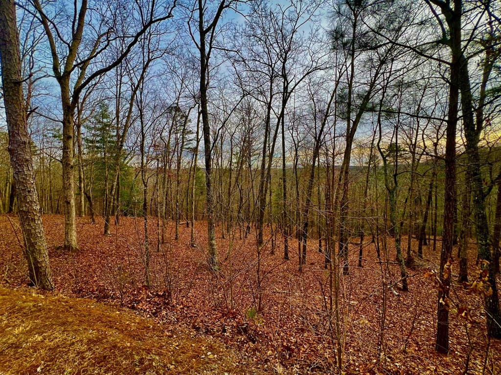 208 Harris Ridge Drive, Ellijay GA 30540 - Photo