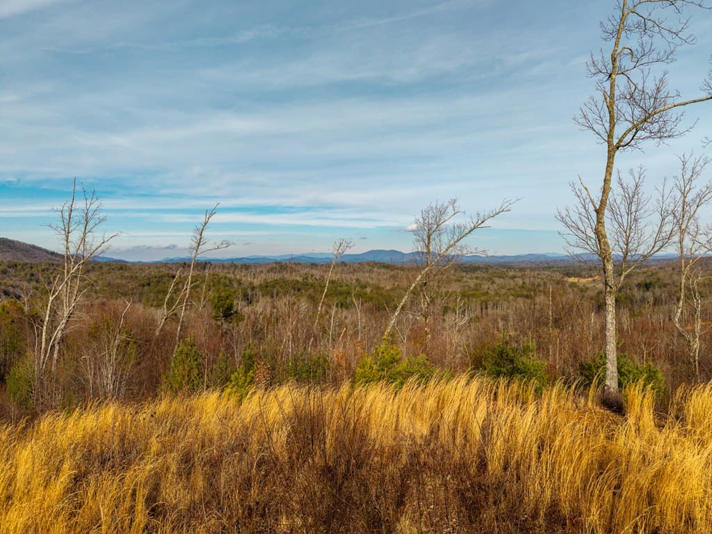 156+ AC Higdon Creek Road, Blue Ridge GA 30513 - Photo