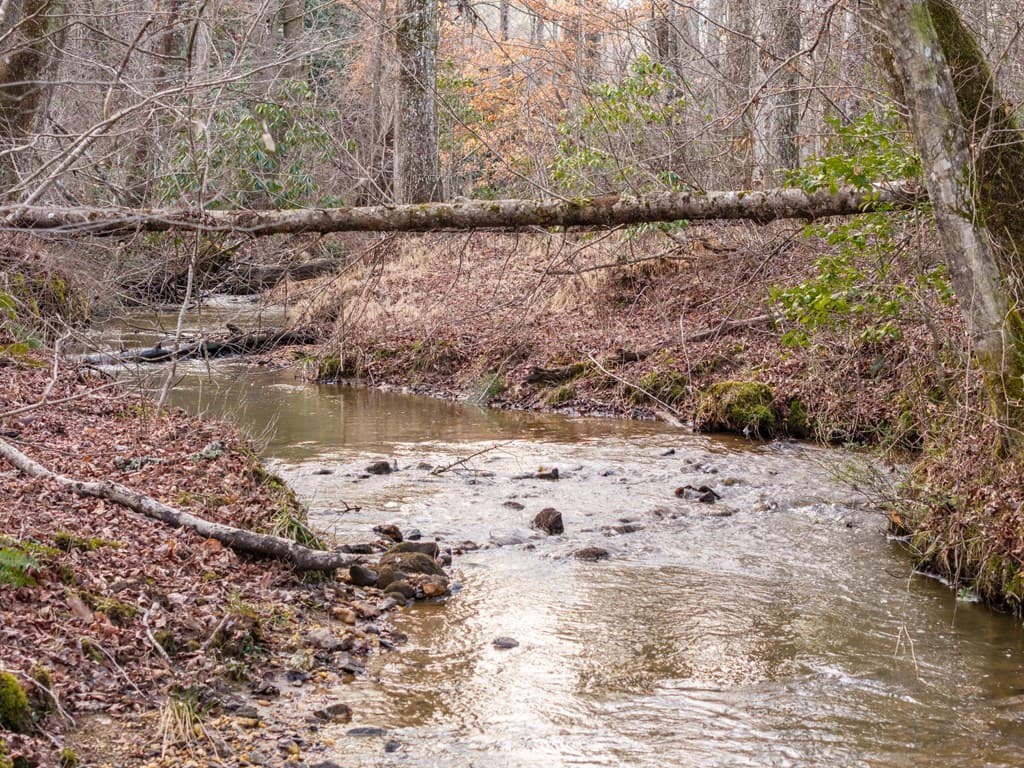 156+ AC Higdon Creek Road, Blue Ridge GA 30513 - Photo