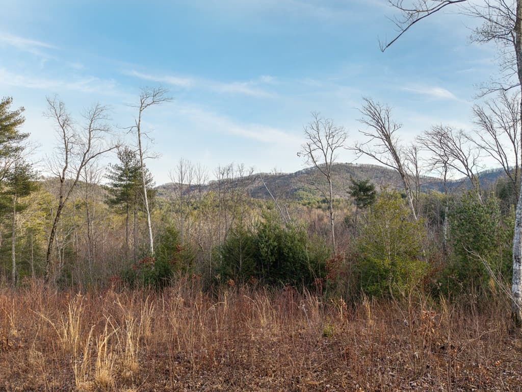 156+ AC Higdon Creek Road, Blue Ridge GA 30513 - Photo