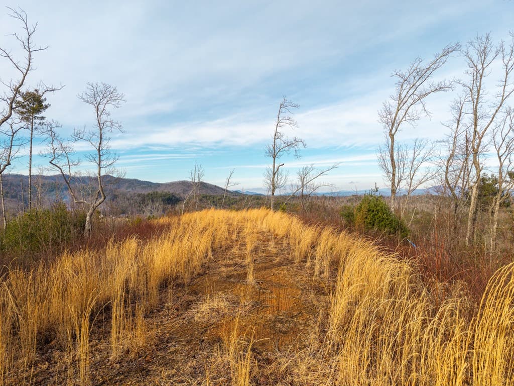 156+ AC Higdon Creek Road, Blue Ridge GA 30513 - Photo
