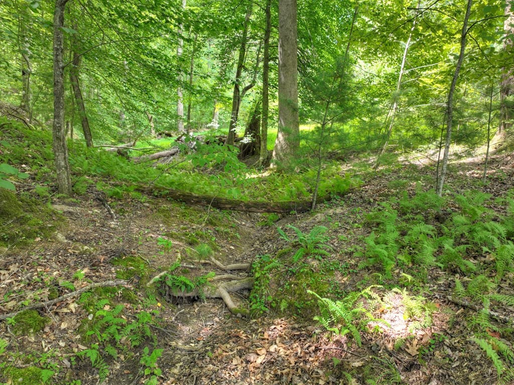 Lot 4 Greystone Trace, Ellijay GA 30536 - Photo
