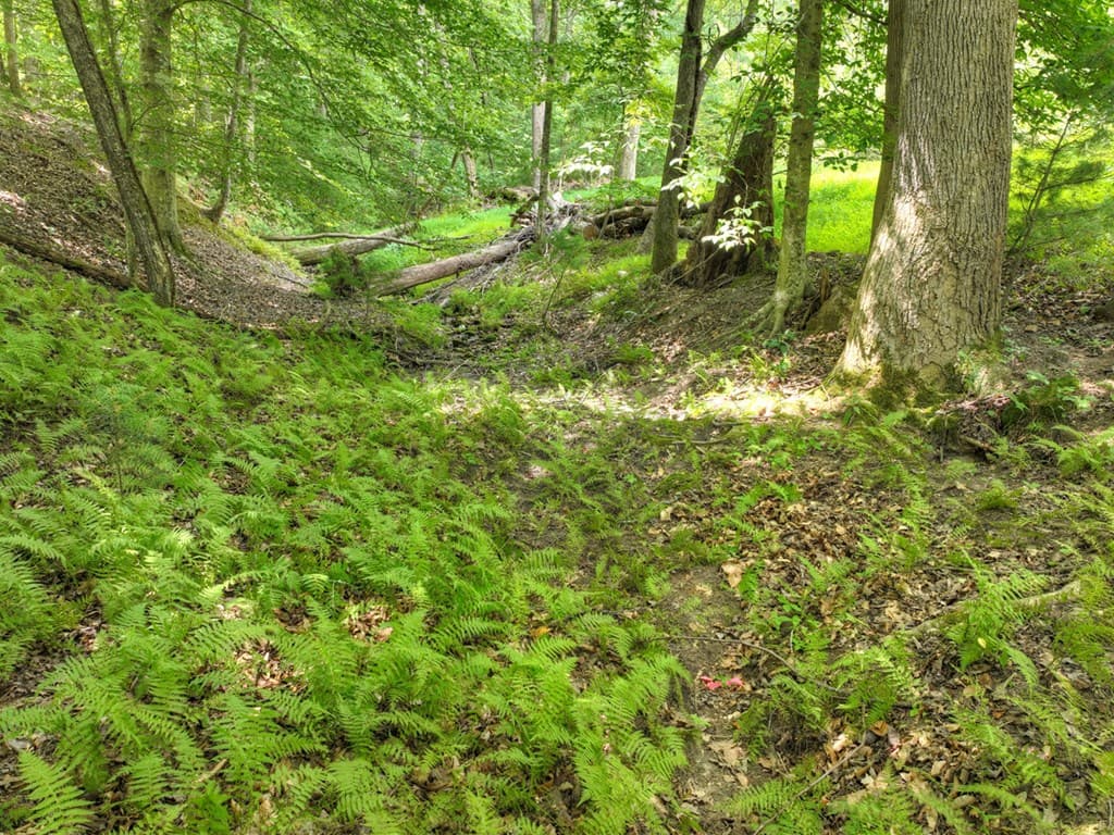 Lot 4 Greystone Trace, Ellijay GA 30536 - Photo