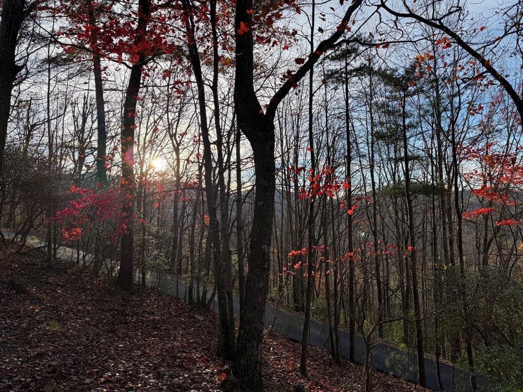 708 Wilson Mountain Road, Blairsville GA 30512 - Photo