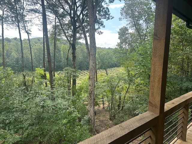 167 Meadow View Court, Ellijay GA 30536 - Photo