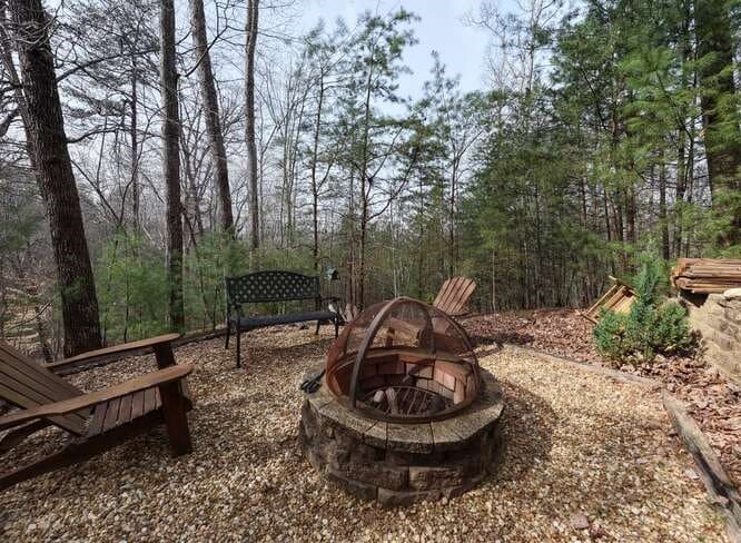 76 Channing Hollow, Morganton GA 30560 - Photo