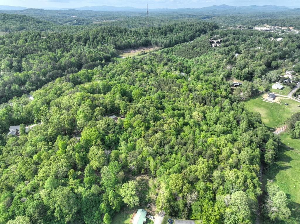 6.74 AC Doxol Street, Blue Ridge GA 30513 - Photo