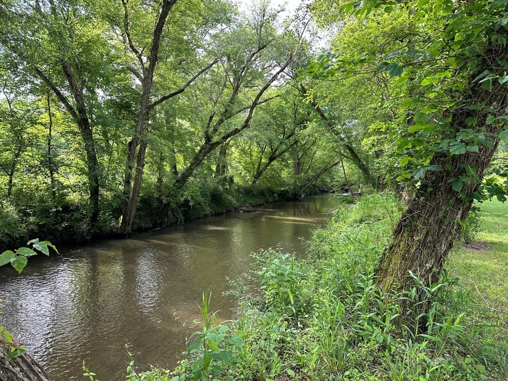 Lot 55 Brasstown Trails, Warne NC 28909 - Photo