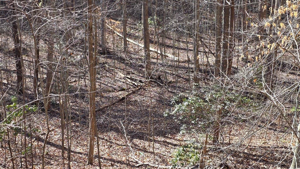 Lt 11 Mountain Laurel Est., Young Harris GA 30582 - Photo