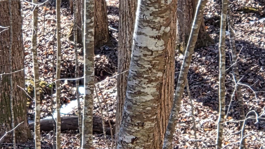 Lt 11 Mountain Laurel Est., Young Harris GA 30582 - Photo