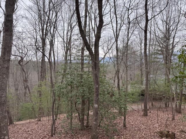 726 Cherry Lake Drive, Cherry Log GA 30522 - Photo