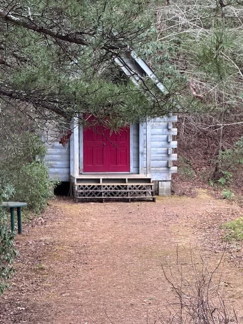 726 Cherry Lake Drive, Cherry Log GA 30522 - Photo