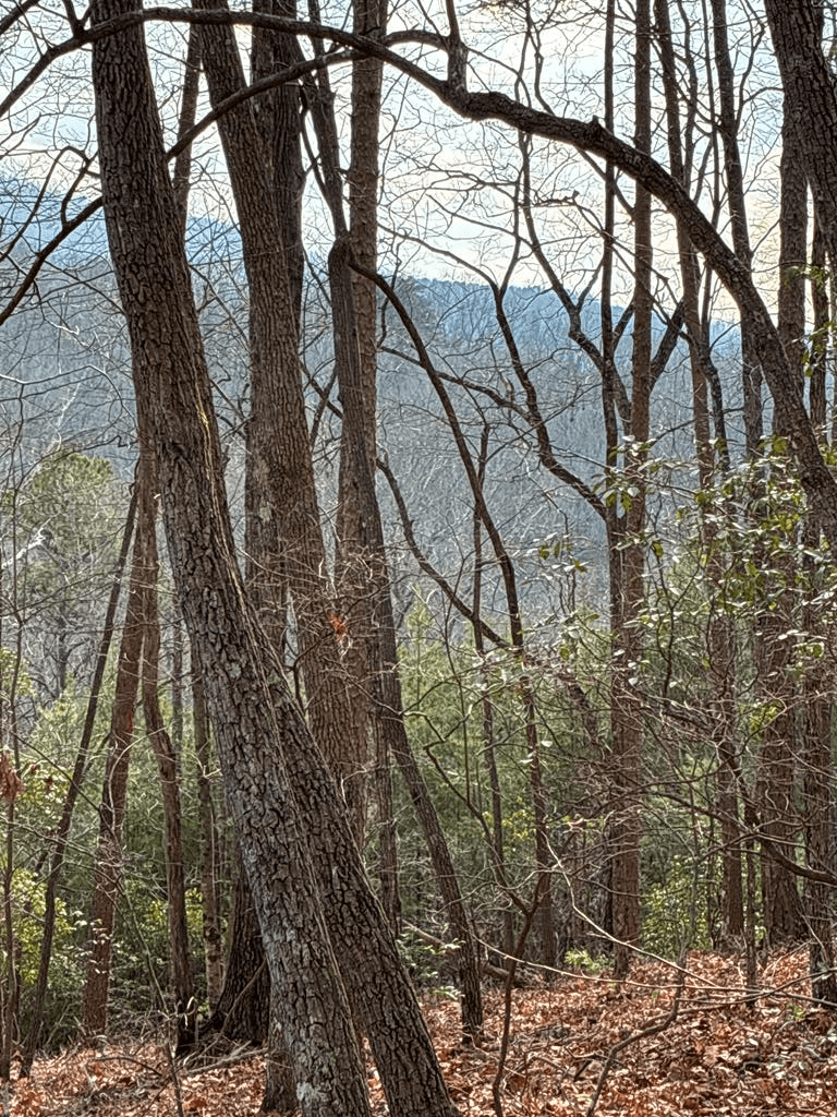Lt 29A/B Paradise Lane, Ellijay GA 30540 - Photo