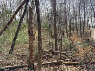 29,30 Sunset Drive W, Young Harris GA 30585 - Photo