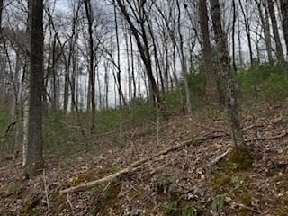29,30 Sunset Drive W, Young Harris GA 30585 - Photo