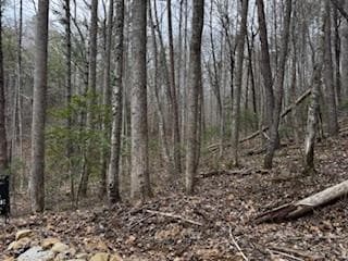29,30 Sunset Drive W, Young Harris GA 30585 - Photo