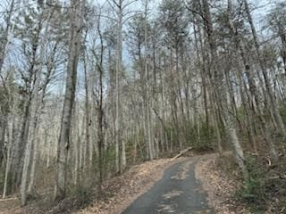 29,30 Sunset Drive W, Young Harris GA 30585 - Photo