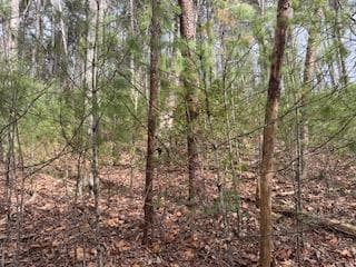 29,30 Sunset Drive W, Young Harris GA 30585 - Photo