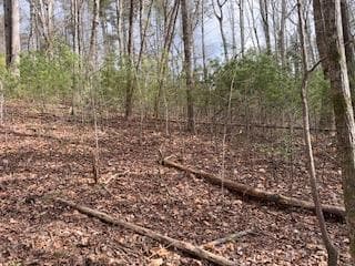29,30 Sunset Drive W, Young Harris GA 30585 - Photo