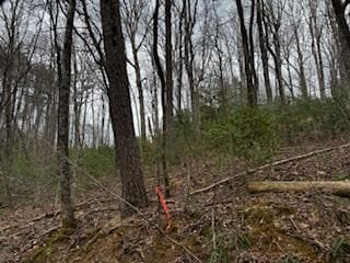 29,30 Sunset Drive W, Young Harris GA 30585 - Photo