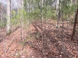 29,30 Sunset Drive W, Young Harris GA 30585 - Photo