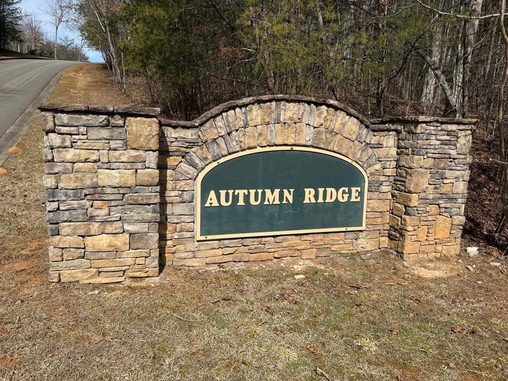 58 Autumn Ridge, Mineral Bluff GA 30559 - Photo