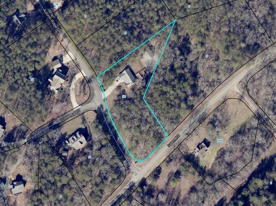 58 Autumn Ridge, Mineral Bluff GA 30559 - Photo